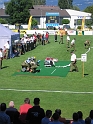 bild (7)